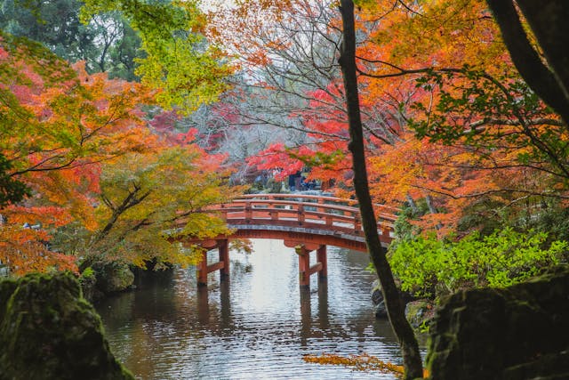 Kyoto for honeymoon packages