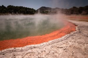 Rotorua newzealand