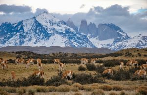 Torres del Paine Circuit adventure travel