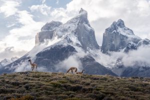 Torres del Paine Circuit in chile