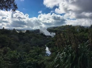 Whakarewarewa new zealand