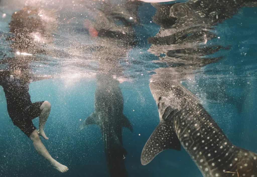 Cebu philippines