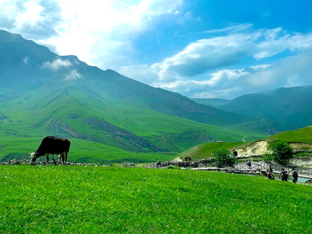 Azerbaijan tourist package