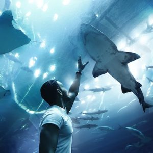 dubai mall aquarium ticket price book now pay later