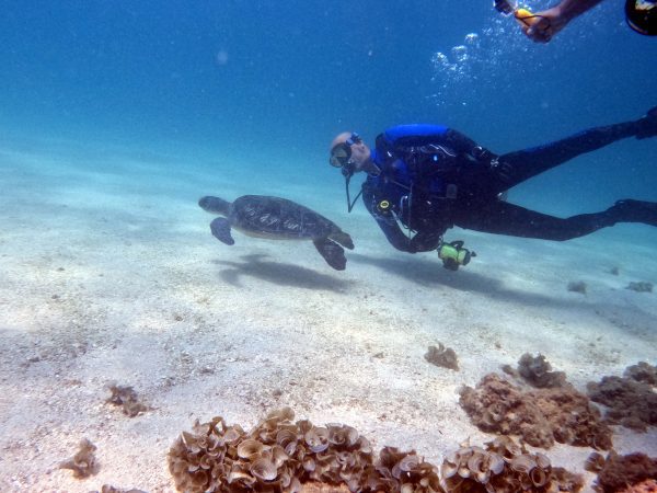 best scuba diving in uae book now pay later