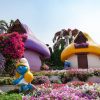 dubai miracle garden dubai