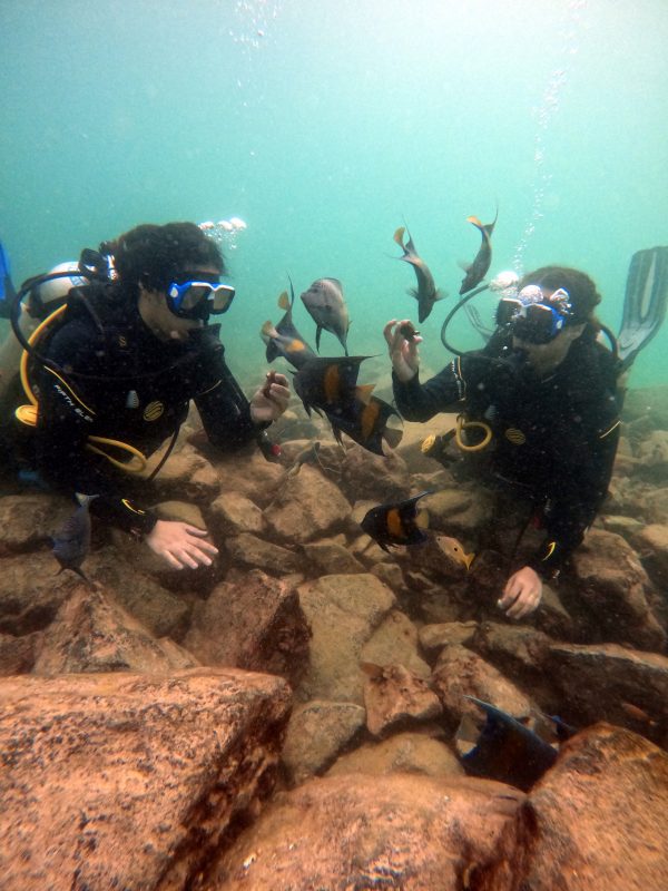 scuba diving in jumeirah beach buy now pay later