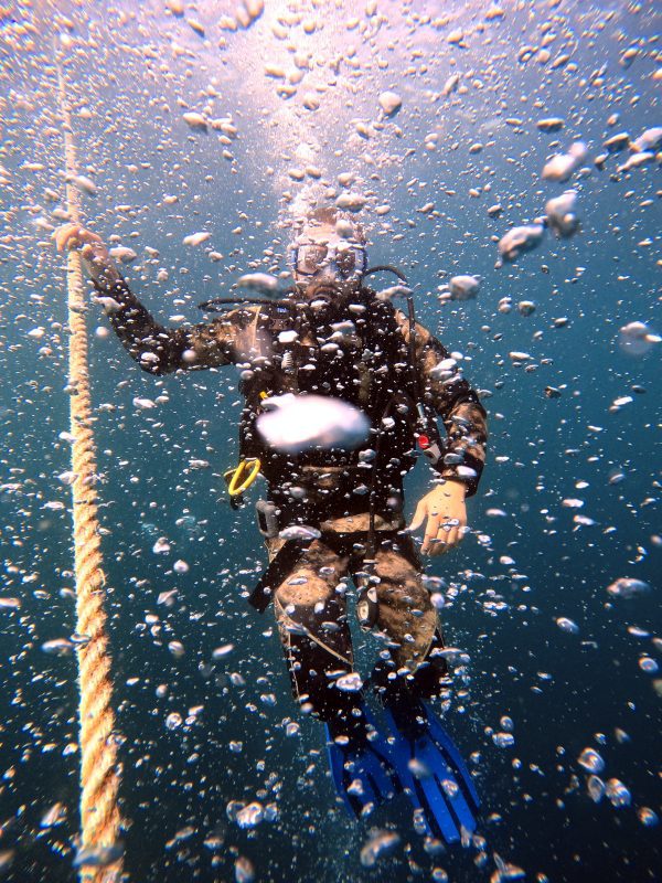scuba diving dubai cost