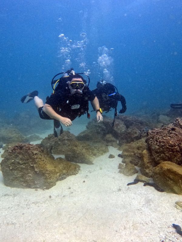 bermuda diving center dubai dive now pay later