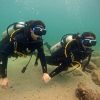 uae diving scuba diving lessons dubai book now pay later