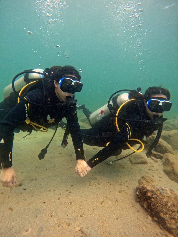 uae diving scuba diving lessons dubai book now pay later
