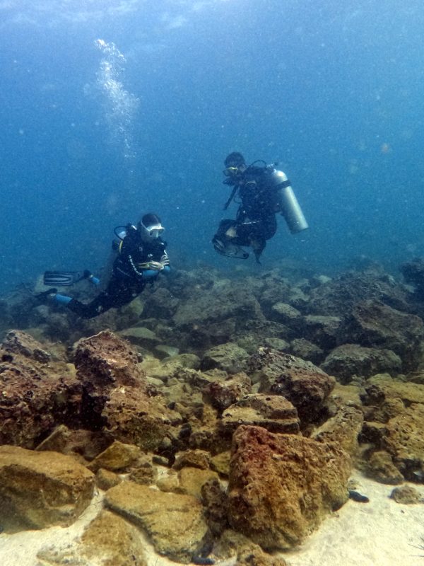 scuba diving lessons dubai dive now pay later