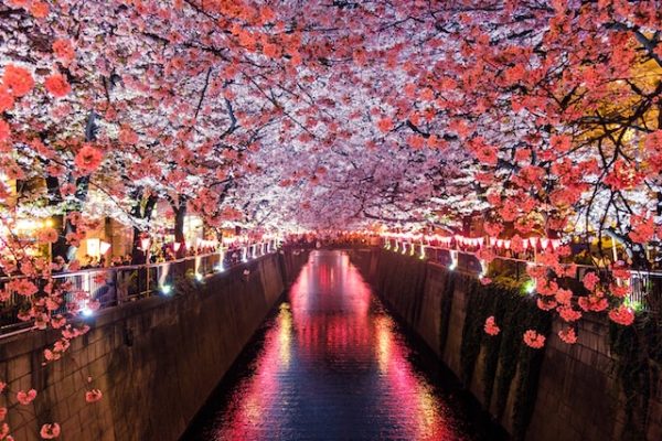 japan evisa uae residents