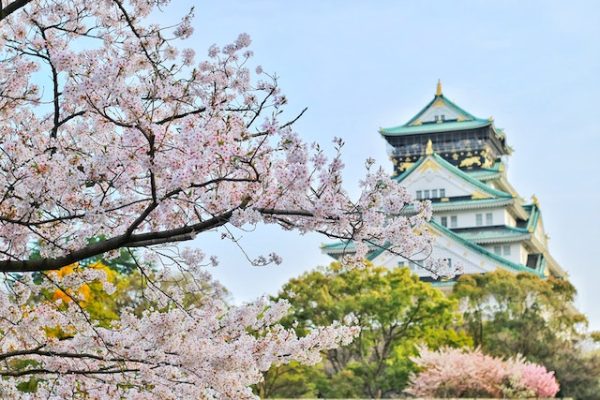 evisa japan registration