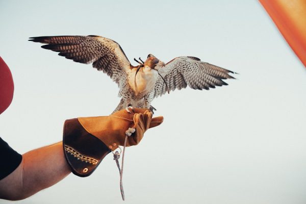 hot air balloon experience