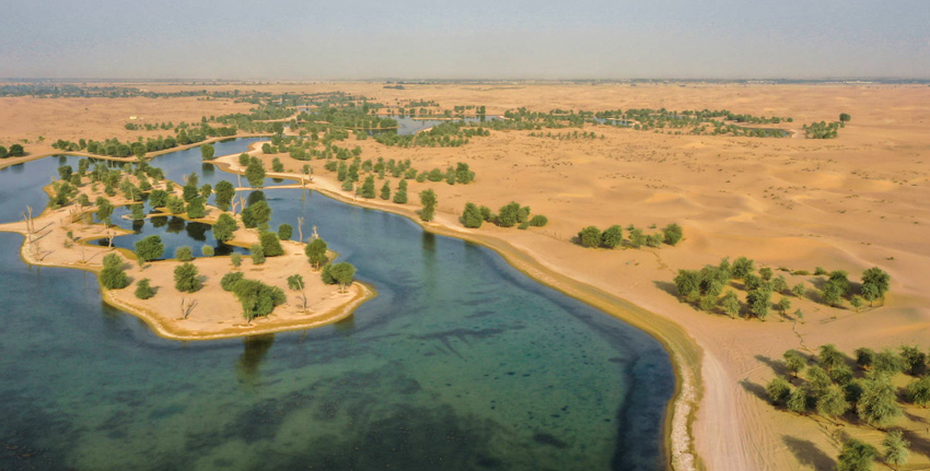 Al Marmoom Desert Conservation Reserve