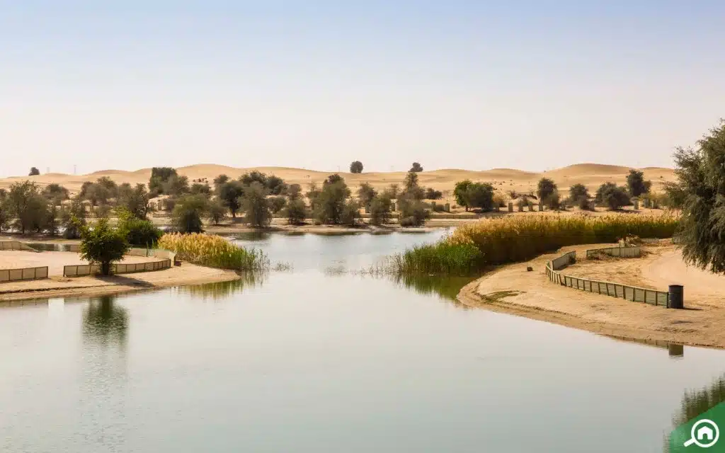 al qudra desert and lake location