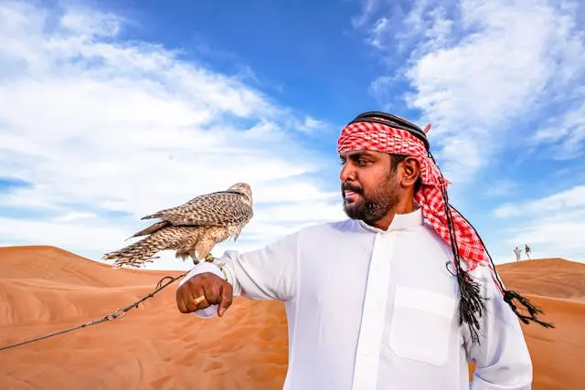 Falconry Demonstrations in dubai