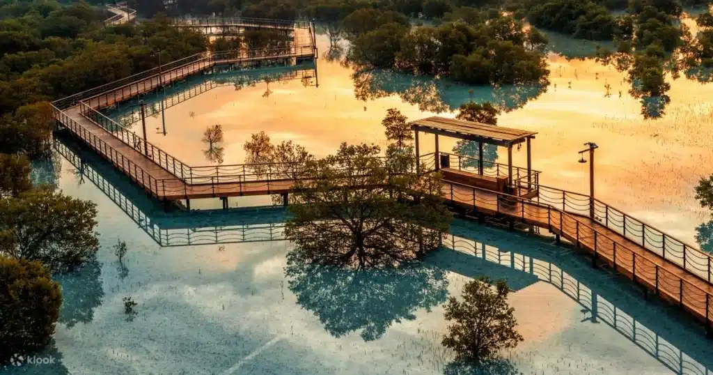 mangrove adventures jubail mangrove park abu dhabi