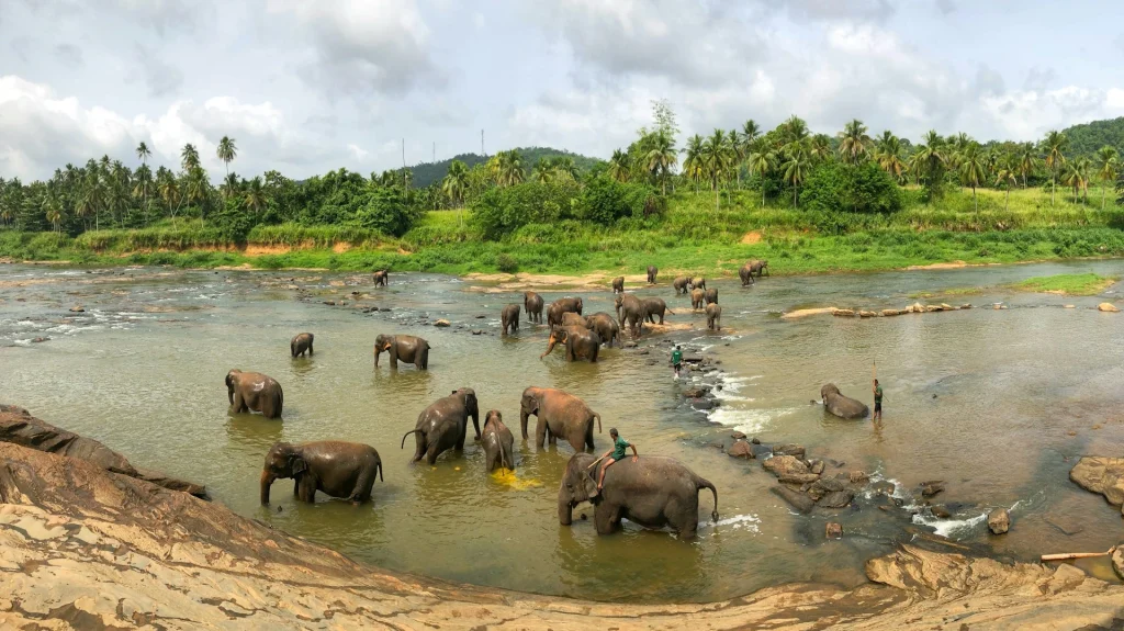 Sri lanka package tour with tamara and tabby