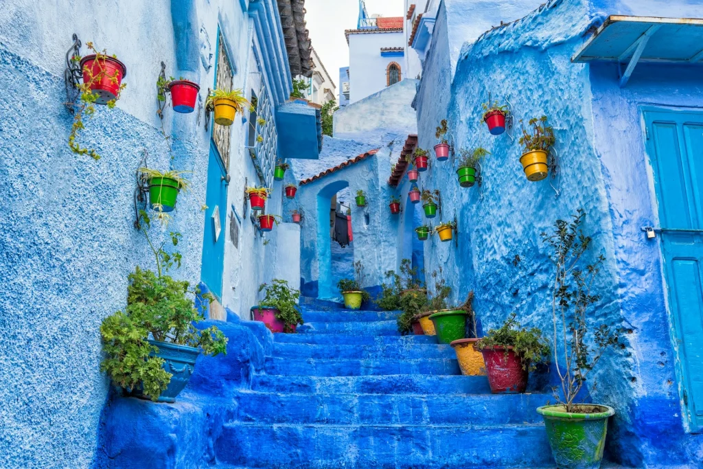 morocco guided tour from dubai with tamara and tabby