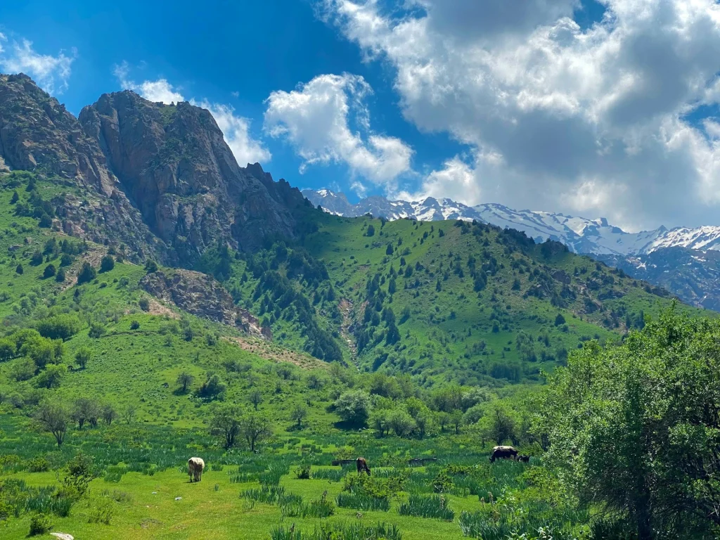 tour package Uzbekistan with tabby and tamara